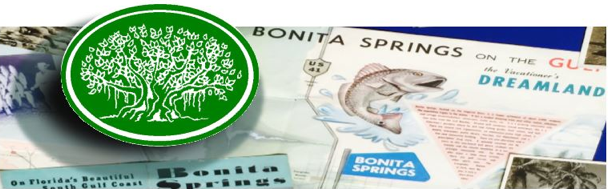 BSHS logo Header copy