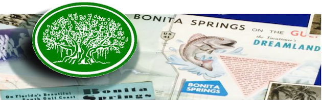 BSHS logo fish trns 700px